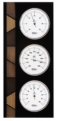 9171 | weather station